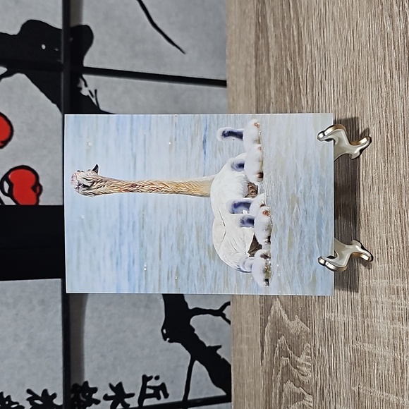 NobleCaptures Other - 4x6 Trumpeter Swan with Babies Family Oil Painting Art Photography‎ Print